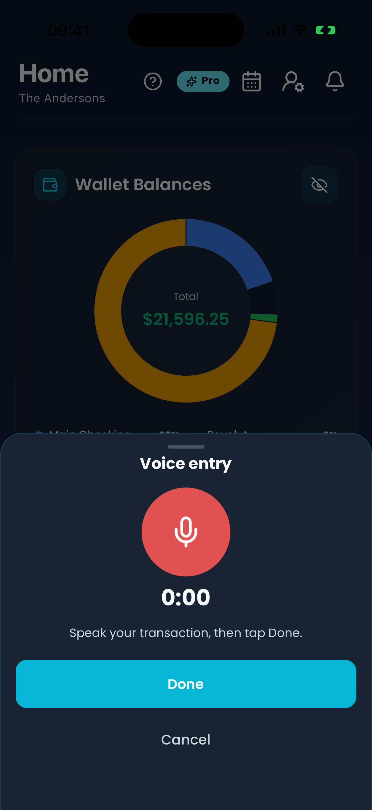 Voice input